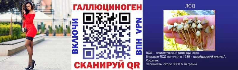 Галлюциногенные грибы Psilocybe  Энем 